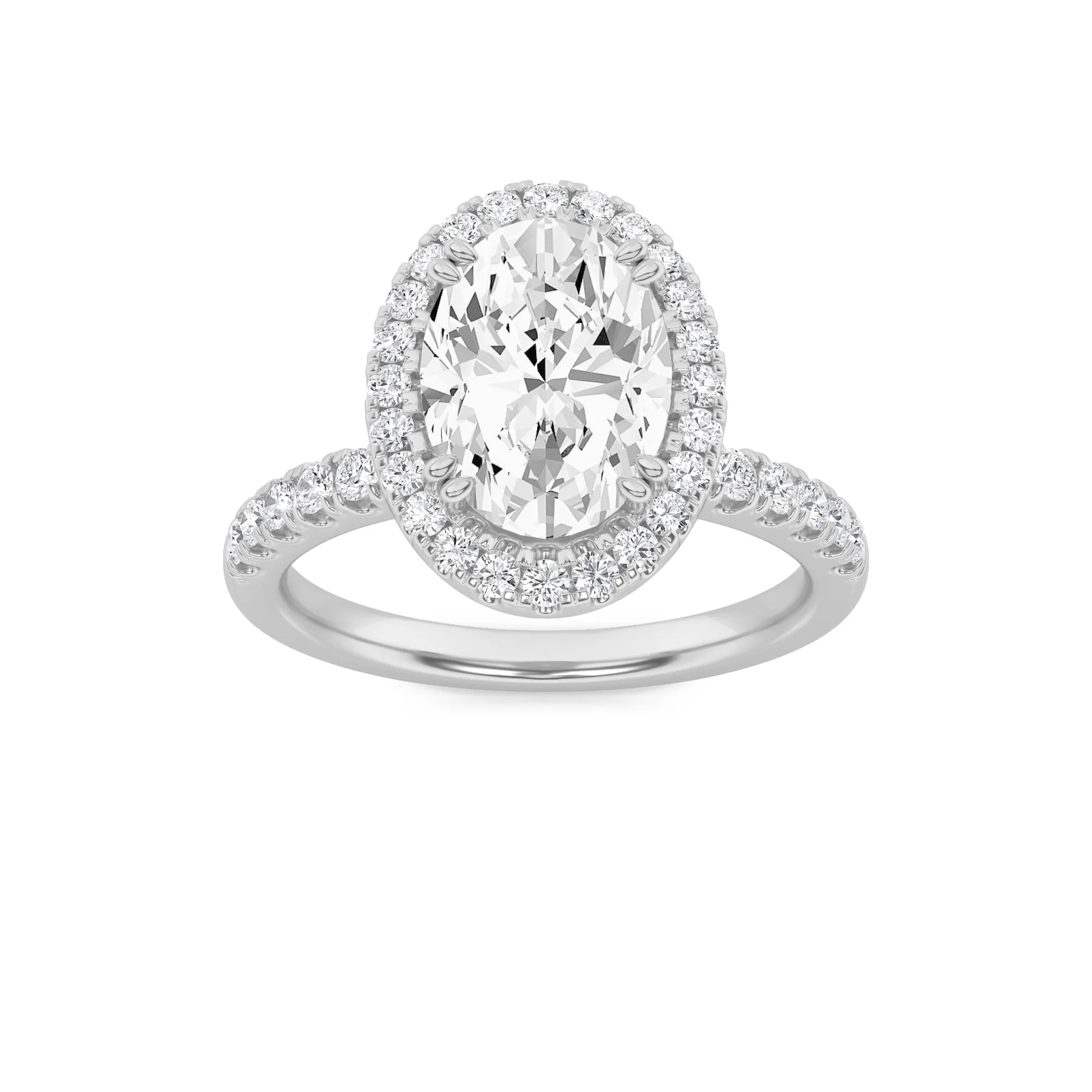 Serenata Primera, The 2N Signature Collection