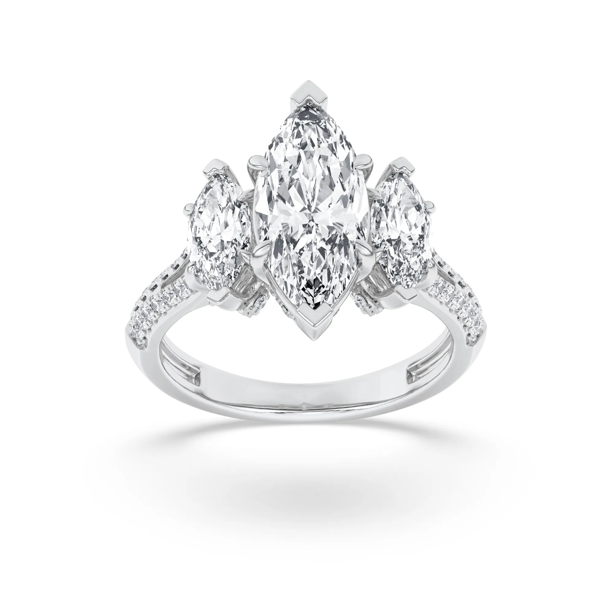 Senda Perpetua, The 2N Signature Collection