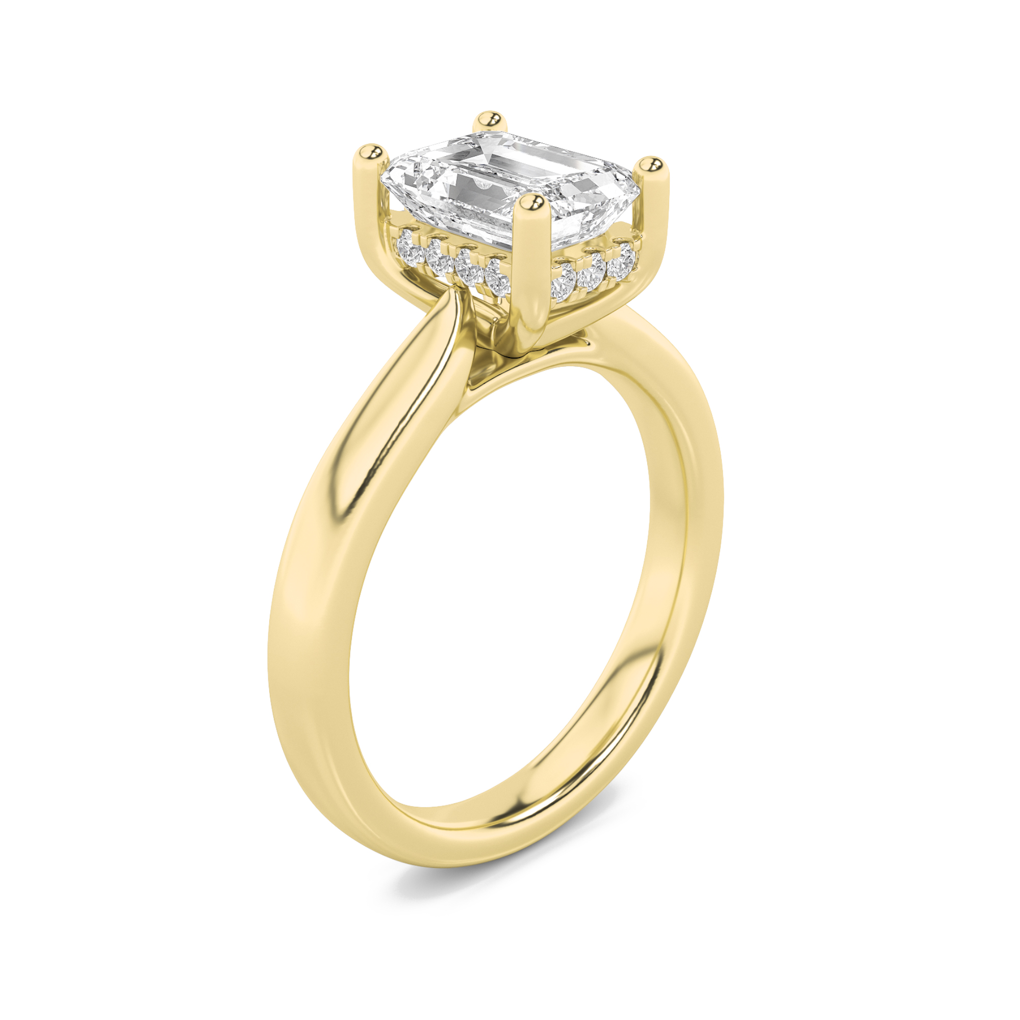 Hidden Halo Cathedral Shank Radiant Engagement Ring view 3