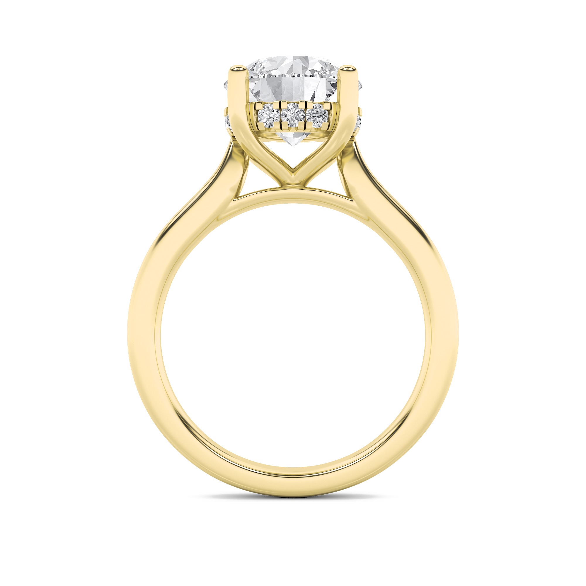 Hidden Halo Cathedral Shank Radiant Engagement Ring view 4