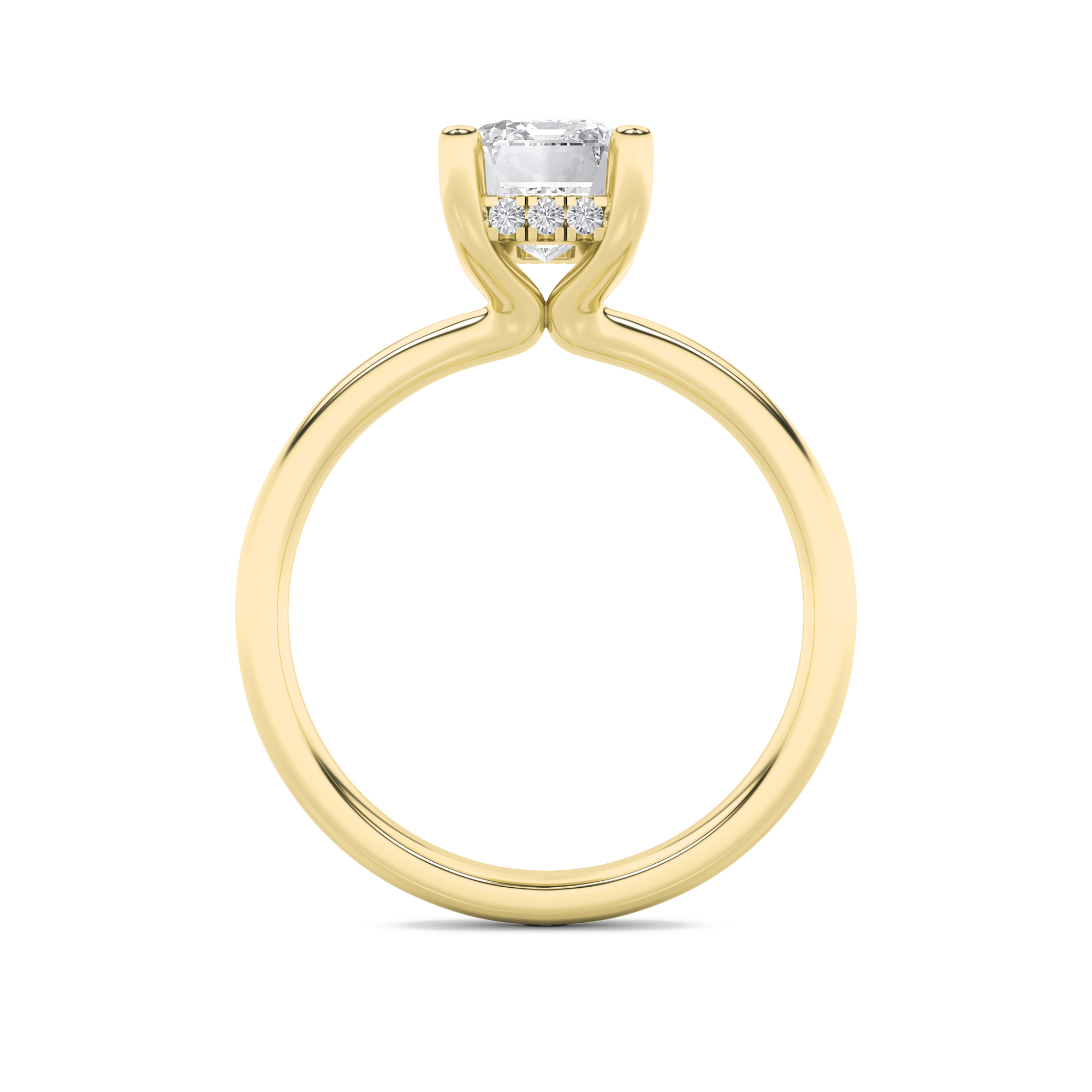 Hidden Halo Round Solitaire Ring view 4