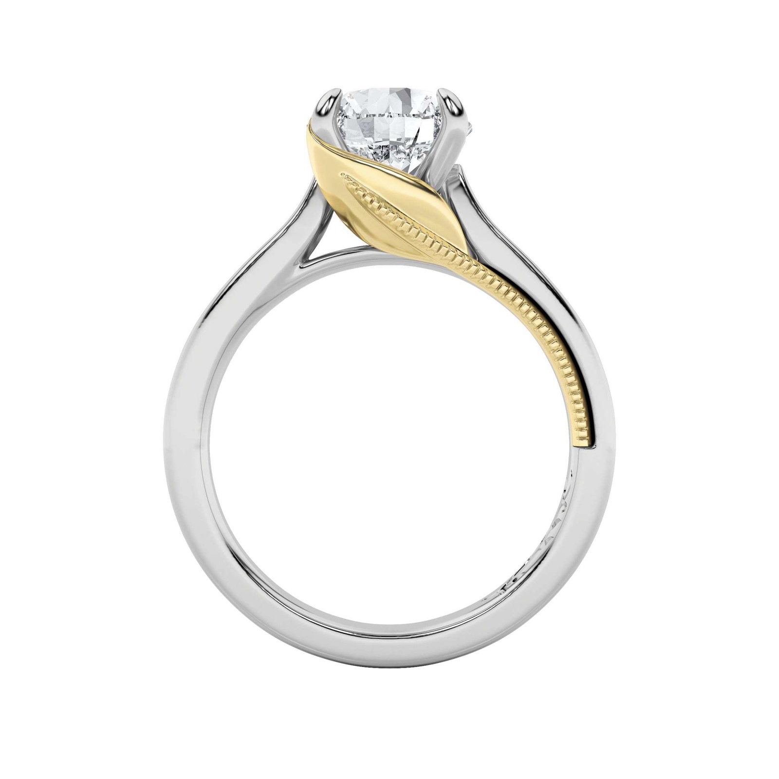 Eclat d'Or — photo 3