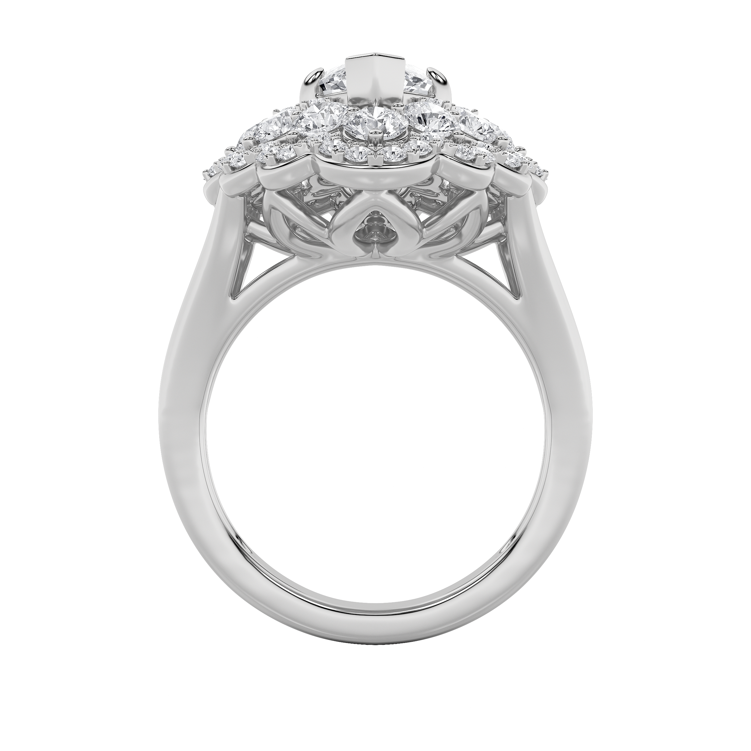 Flamme Royale view 3